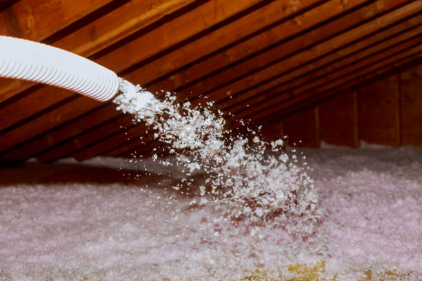 Best Insulation Maintenance and Repair in Troy, IL
