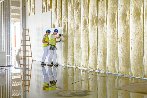 Best Residential Insulation in Troy, IL